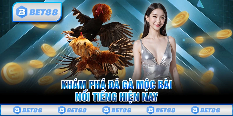 Tìm Hiểu Đá Gà Mộc Bài Và Những Điểm Nổi Bật Bạn Cần Biết